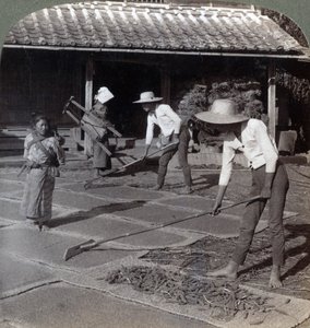 Bauern mit Bambusrechen, die Hirse auf Matten zum Trocknen ausbreiten, in der Nähe von Yokohama, Japan