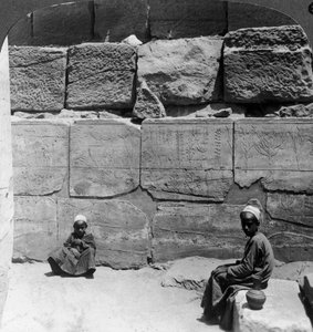 Pflanzen und Tiere aus Syrien, gebracht von den Pharaonen, Tempel von Karnak, Ägypten, 1905