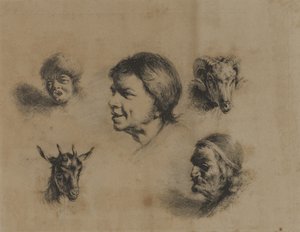 Köpfe - Drei Menschen, Zwei Tiere von Unidentified