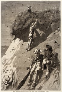 Überfall auf eine Sandschwalbenkolonie--"Wie viele Eier?" von Unidentified