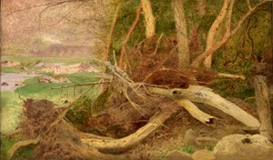 Waldlandschaft mit Brücke