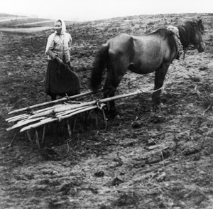 Eine Bäuerin mit Pferd pflügt den Boden auf einem Bauernhof im Dorf Voronovo an der Wolga im vorrevolutionären Russland, 1900