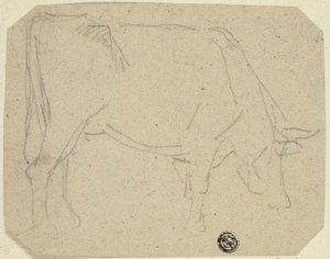 Weidende Kuh (nach rechts gewandt) (recto); Hinterteil eines Pferdes (verso)
