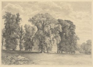 Wiese und Bäume von Unknown