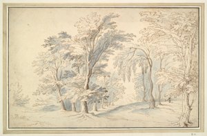 Waldlandschaft von Unknown