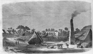 Eine Süßwarenfabrik auf der Insel Kuba im Jahr 1869.