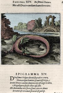 Ein Drache, der seinen Schwanz schlägt (oder Ouroboros (?)). Platte aus dem alchemistischen Werk „Atalanta fugiens hoc est Emblemata nova de secretis naturae chymica“ von Michel Maier (1568-1622)