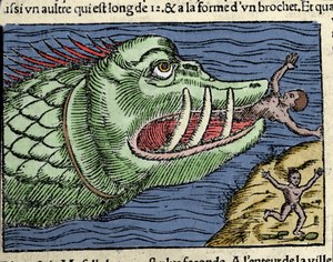 Ein Meeresmonster schlägt einen Schwimmer in der Nähe der Küste Norwegens. Gravur von Olaus Magnus (1490 - 1557), schwedischer Geistlicher und Geograph, „Historia de Gentis Septentrionalibus“, Venedig