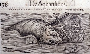 Ein Wal zerstört den Rumpf eines Bootes und verursacht dessen Untergang. Gravur in Historia Animalium von Conrad Gesner (1516 - 1565), Tiguri