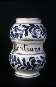 Albarelle: ehemaliges Apothekengefäß aus dem 16. Jahrhundert mit Enzian. Museum für Wissenschaft und Technik, Mailand von Unknown artist