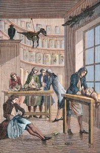 Albrecht von Haller (Albert de Haller) (1708-1777) in seinem Labor in Bern in der Schweiz - Labor des Schweizer Arztes Albrecht von Haller (1708-1777) in Bern