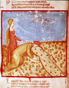 Am Eingang des Paradieses trifft Dante Mathelda und trinkt Wasser aus dem Eunoe-Fluss, das die Erinnerung an gute Taten stärkt. Illustrierte Seite eines Gesangs des Paradieses aus der „Divina Commedia“ von Dante Alighieri (1265-1321). 14. Jahrhundert von Unknown artist