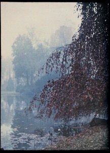 Herbstlandschaft, See und roter Baum im Nebel - ca. 1920 (Herbstlandschaft, See und roter Baum im Nebel) Autochrome anonyme Privatsammlung