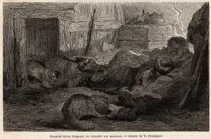 Blaue Füchse nagen an den Schuhen von schlafenden Seeleuten im Zufluchtsort der Beobachtungsstation, Zeichnung von V. Foulquier, zur Illustration von Spitzbergen von Unknown artist