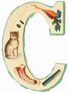 C: Koralle, Karotte, Kerze, Baumwolle, Katze, Kolokynth, Kamm von Unknown artist