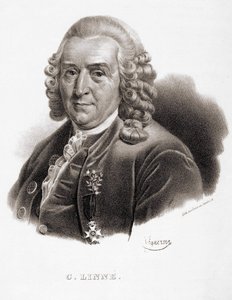 Carl von Linné schwedischer Naturforscher und Schriftsteller (1707 - 1778)