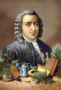 Carl von Linné, schwedischer Naturforscher und Schriftsteller (1707 - 1778) nach „La Ciencia y sus Hombres“ von Louis Figuier. Barcelona 1881