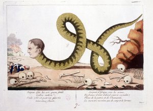 Karikatur über Napoleon I. als Schlange dargestellt. Schlange Afrikas unter Waffen, in Frankreich kam er zuerst, um seine Blöße zu bedecken; Geißel der Heimat und der Menschheit, das Monster lebte nur von Blut und Tränen. - in Napoleon I., Karikaturen, Dum