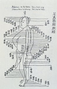 Chinesische Akupunktur: der Meridian der Blase