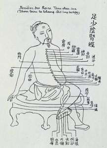 Chinesische Akupunktur: der Meridian der Nieren