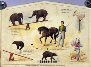 Zirkus: eine Tafel, die verschiedene Arten von Shows mit dressierten Tieren zeigt, darunter Elefanten, eine Ziege, einen Bären, Pferde und ein Schwein. Illustration aus dem 19. Jahrhundert von Unknown artist