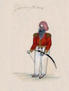 Befehlshaber der Armee