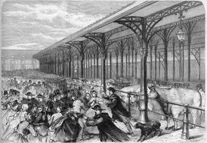 Concours des oxeufs gras auf dem Markt von La Villette in Paris. Gravur in „The Illustrious Universe“ von Unknown artist