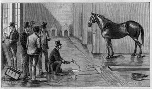 Tod durch Elektrizität: Ein Pferd wird bei einem Experiment im Labor von Edison in Orange (USA) durch Elektrizität getötet. Gravur in „La Nature: revue des sciences et de leurs applications aux arts et a l