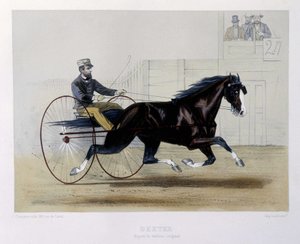 Dexter Traber - in „The Centaur“ von Unknown artist
