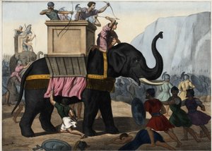 Eleazar Makkabäus (Maccabee oder Macabee) kämpft an der Seite der Juden gegen die Unterdrückung durch die Seleukiden. Anonyme Gravur aus der Mitte des 19. Jahrhunderts.