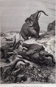 Elefanten erklimmen das Ufer eines Flusses, Bericht einer Expedition nach Zentralafrika im Auftrag von Sir Samuel White Baker, „Tour du monde“
