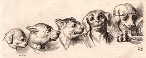 Entwicklung eines Hundes zu einer menschlichen Form von Unknown