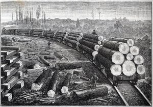 Ausbeutung der Wälder der Vereinigten Staaten. Temporäre Eisenbahnen mit Holzschienen. Wagen transportieren Baumstämme. Gravur in „La Nature“ von Unknown artist