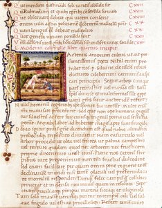 Bauern pflanzen Weinberge