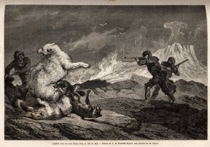 Kampf mit einem Eisbären, der ihr Junges schützt, das Rudel Hunde greift sie an und die Jäger, mit Gewehren bewaffnet, warten auf den richtigen Moment, um sie zu erschießen. Gravur zur Illustration der Reise zum freien Meer des Arktischen Pols, von Dr. Hay