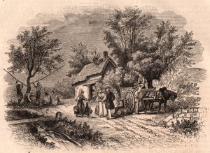Apfelernte in der Normandie, Frankreich von Unknown