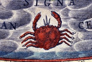 Horoskop: Sternzeichen Krebs. Gravur aus dem 16. Jahrhundert von Unknown artist