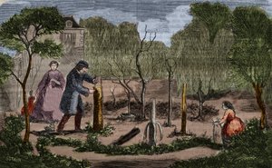 Gartenbau: Hauptmethoden der Pflanzenverpflanzung. Gravur von 1860