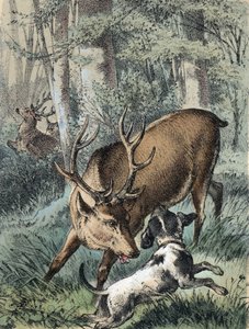 Illustration von Franz Hoffmanns Erzählungen „Märchen und Fabeln - Die 2 Hirsche“: Ein Hirsch läuft weg und der andere kämpft mit einem Hund. Chromolithographie des 19. Jahrhunderts von Unknown artist