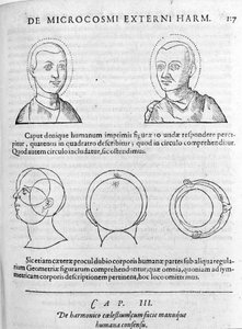 Bild der Physiognomie aus „Collectio Operum“ von Robert Fludd (Robertus de Fluctibus). London 1617 von Unknown artist