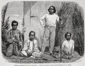 Inder und Neger von Réunion - in „Le Tour du Monde“ von Unknown artist