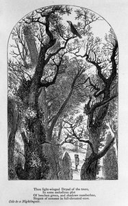 John Keats: Ode an eine Nachtigall