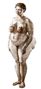 Die Hottentotten-Venus, Frau der Bochiman-Rasse. Gravur von 1815. von Unknown artist