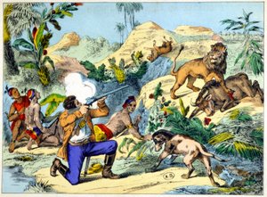 Löwenjagd im südlichen Afrika. Gravur aus dem 19. Jahrhundert von Unknown artist