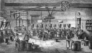 Herstellung von Senf und Konserven bei Louit Frères in Bordeaux. Gravur von 1865 von Unknown artist