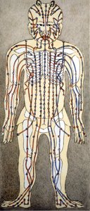 Medizin. Diagramm des menschlichen Körpers aus einem Akupunkturtraktat. Privatbibliothek, Mailand von Unknown artist