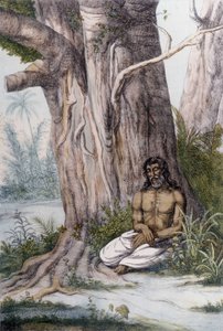 Meditation am Fuße eines Baumes, Indien. von Unknown artist