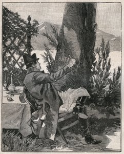 Napoleon Bonaparte (1769-1821) schrieb das Wort „Battaglia“ auf den Stamm eines Lorbeerbaums auf der Insel Isola Bella am Lago Maggiore, drei Tage vor der Schlacht von Marengo im Jahr 1800. Gravur von 1885 in „Les arts et métiers illustrés“. von Unknown artist