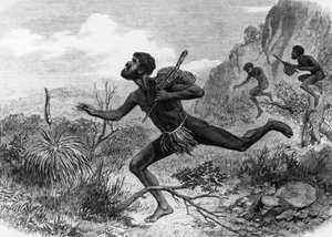 Ureinwohner (Aborigines) aus Australien bei der Bienensuche 1863, Gravur