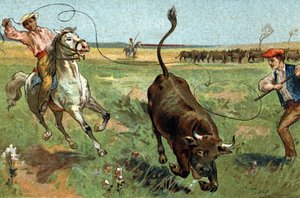 Alte Tradition in der Region Provence: Die Ferrade in der Camargue. Chromolithographie aus dem späten 19. Jahrhundert. von Unknown artist